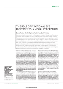 the role of fixational eye movements in visual perception