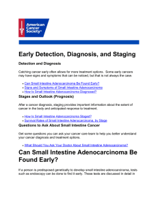 Early Detection, Diagnosis, and Staging Can Small Intestine