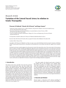 Variation of the Lateral Sacral Artery in relation to Sciatic Neuropathy