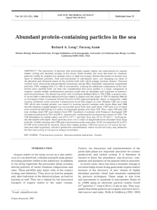 Abundant protein-containing particles in the sea