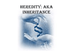 Heredity PPT File