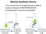 Lateral prefrontal cortex