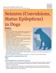 seizures_in_dogs