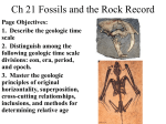Ch 21 Fossils and the Rock Record
