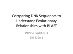 Comparing DNA Sequences to Understand Evolutionary