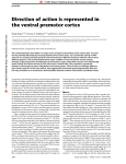 Direction of action is represented in the ventral premotor cortex