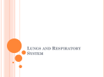 Lungs and Respiratory System