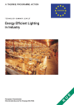 Energy Efficient Lighting in Industry