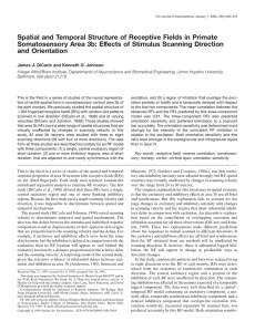 Spatial and Temporal Structure of Receptive Fields in Primate