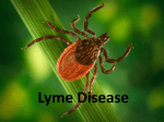 Lyme Disease