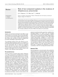 Role of two-component systems in the virulence of Streptococcus