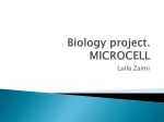 Biology project Lz