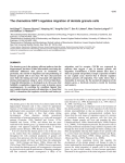 Dentate granule cell migration - Development