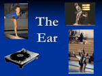 The Ear