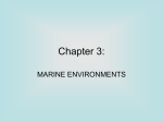 Chap 3 marine zones