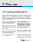 Productivity and the Role of Technology in Emerging Markets
