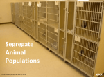 Segregate Animal Populations