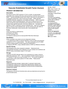 Vascular Endothelial Growth Factor (human)