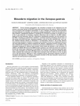 Mesoderm migration in the Xenopus gastrula