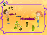 What are Microbes? - e-Bug