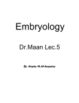 Dr.Maan Lec.5