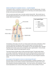Understanding the Lymphatic System
