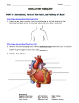 Circulatory System Web Quest