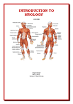 introduction to myology