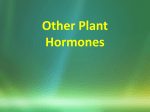 Other Plant Hormones - NCEA Level 3 Biology