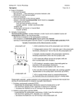 An Introduction to Neurophysiology