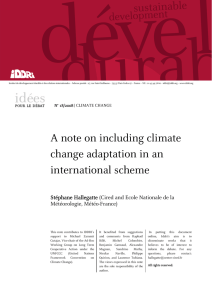 A note on including climate change adaptation in an international