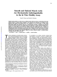 Smooth and Skeletal Muscle Actin Are Mechanically