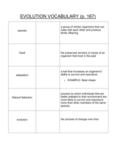 EVOLUTION VOCABULARY (p. 167)