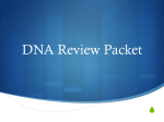 DNA Review Packet - Ms. Bloedorn`s Class