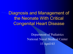 Neonatal Cardiology