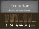 Evolution