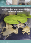 African clawed frogs: Good practice for housing and