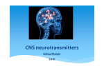 CNS neurotransmitters