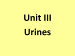 Unit III Urines Power Point Lecture File