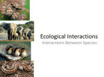 Ecological Interactions
