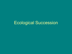 Ecological Succession