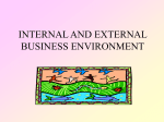 internal and external business environment