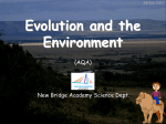 Evolution and the Environment