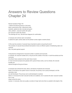 Answers to Review Questions Chapter 24 Review Questions Page