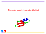 Protein structure