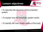 What is the lymphatic system?