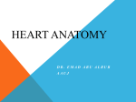 1439573491-2 Heart anatomy