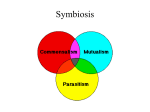 Symbioses and Parasitism - Powerpoint for Oct. 23.