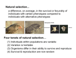 Four tenets of natural selection… Natural selection