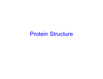 Protein Structure